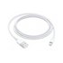 Apple Lightning to USB Cable 1 